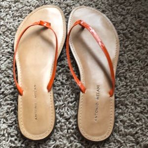 Antonio Melani flip flops